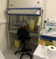 Salle de culture cellulaire