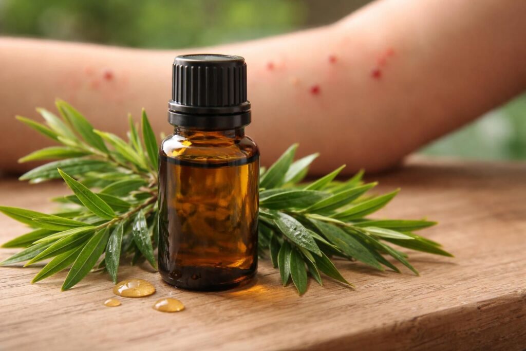 découvrez comment l'huile essentielle de tea tree peut être un remède naturel efficace contre les piqûres d'insectes, ses bienfaits et son mode d'utilisation.